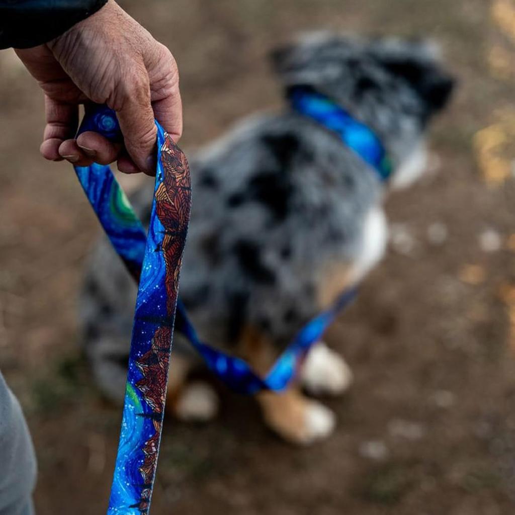 WOLFGANG StarryWolf LEASH, Medium, 2.5cm Wide X 122cm Long [Leash for Medium and Large Dogs]