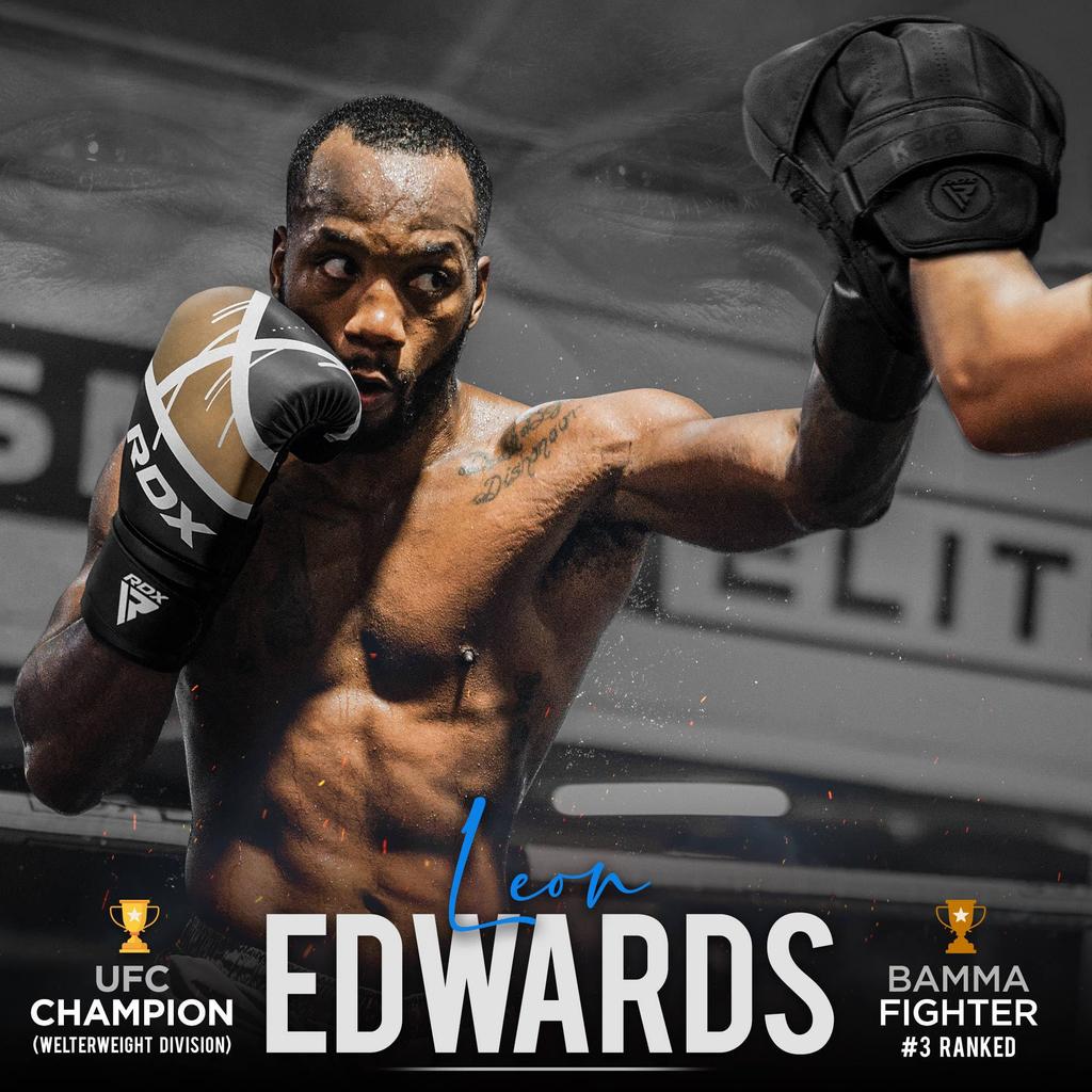 Boxerské rukavice RDX pro trénink Muay Thai Mayanhide Kožené rukavice Bojový Kickbox Sparing EGO Rukavice Boxovací pytel Focus Pad Thai Pad Grappling Dummy