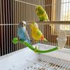 Plastic Swing Perch Toy Simulation Bird Parrot Play Rack Bird Perch Stand  for Bird Cage Aviary
