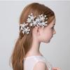 Wedding Beautiful Hair Jewelry Accessories Hairpin Bride Hairpin Hair Clip Flower Hairpin Headdress