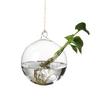 Flower Garden Supplies Creative Hydroponics Terrarium Container Hanging Glass Plant Pot Glass Vase