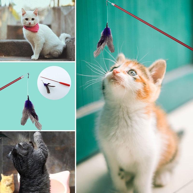 Bird Feather Wand Cat Toy Kitten Interactive Toy Teaser Wand Scalable Refills