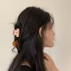 Korean Style French Shark Clip Brown Mini Hair Crab Clip Vintage Acetic Acid Hair Claw  Headwear