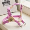 Bai Bong Puppy Light Bear Harness, Purple