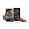 Vintage Dragon-Shaped Book Stand Set 3D Bookshelf Dragon Ornaments  File Cabinet