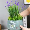 Kalanchoe Desert Mountain Rose Ceramic Succulent Pot with Tray & Silk Flower