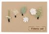 [SOUBIEN] Soubien Coming-of-Age Ceremony Hair Ornament Set, Dried Flower Style Artificial Flowers, 6 Pieces, White and Green Flowers (sbn-kaz10020)