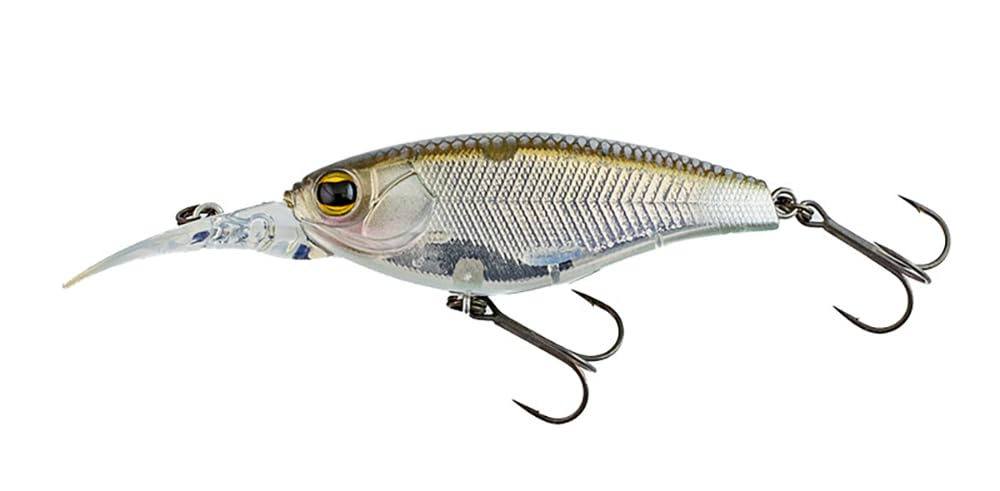 Imakatsu Shad Standard Color Flash Shad IS-100 #1029