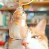 1 Transparent Catshaped Memorial Capsule A Catshaped Sealed Storage  Hanging Loopa Heartfelt Gift For Cat Owners To Commemorate