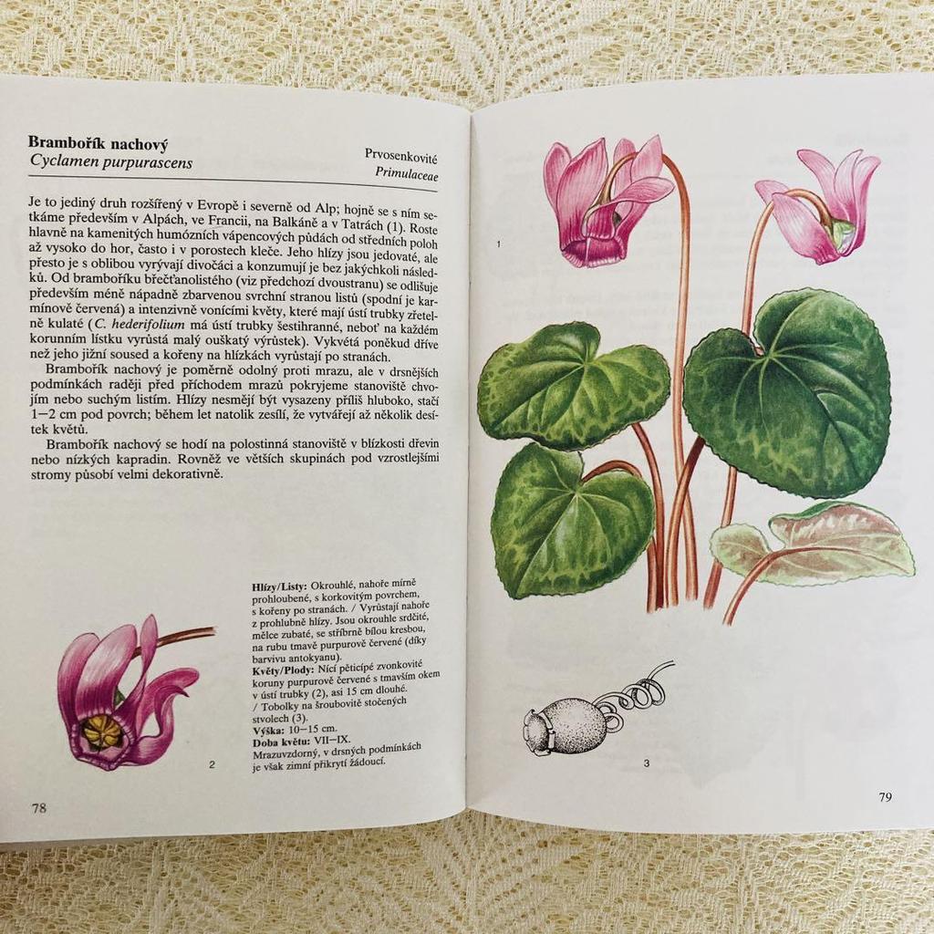 [USED] Foreign books, old books, Czech botanical encyclopedias, bulbous plants, tuberous plants, tulip cover