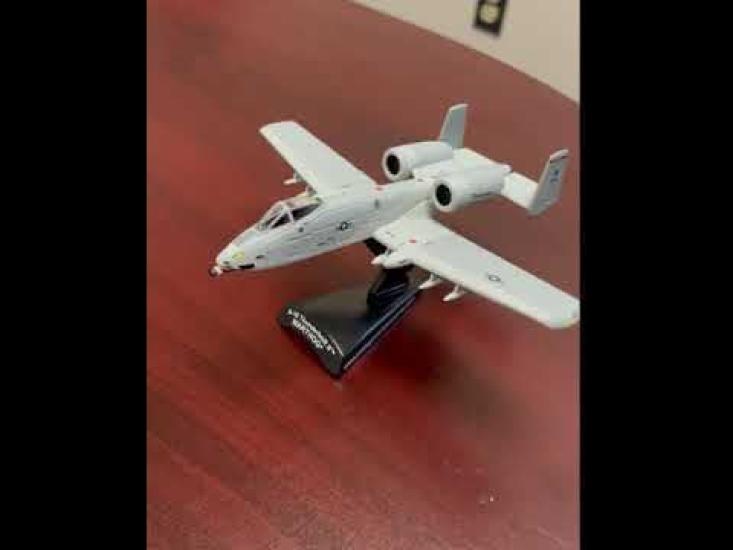 POSTAGE STAMP Black Snakes Scale PS53753 A-10 1/140