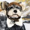 New Fall/winter Pet Clothing Jacket - Falcon Leather Coat with Added Insulation for Warmth. Pet Clothing for Cats and Dogs, Including Accessories.