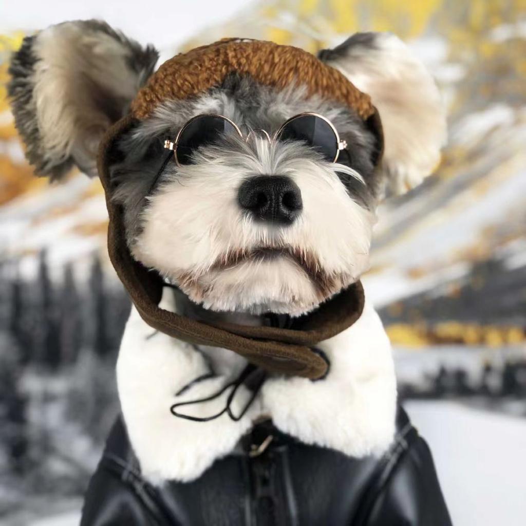 New Fall/winter Pet Clothing Jacket - Falcon Leather Coat with Added Insulation for Warmth. Pet Clothing for Cats and Dogs, Including Accessories.