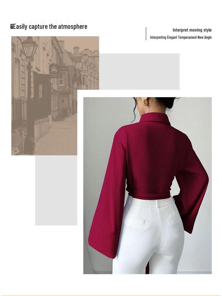 2025 Elegantes Damen-Hemd mit Schleife: Vielseitig, Einfarbig, Frühling & Herbst Design