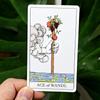 10,3 x 6 cm Shuffle Tarot Collection B Gemischtes World of RWS Tarot Deck mit 80 Karten Eine kreative Art, eine Geschichte zu erzählen
