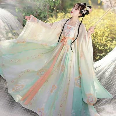 Tradizionale ed elegante abito Hanfu da donna in stile dinastia Tang per la primavera e l'estate