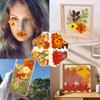 Dried Flower Making Versatile Dried Autumn Flowers Leaf Beautiful Dried Pressed Flowers for DIY Resin Mold Handicraft Enthusiast