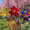 3D Flower Windmill Colourful Wind Spinner Bird Repeller Pinwheels Laser Bird Deterrent Windmill Spinner Garden Lawn Yard Decor