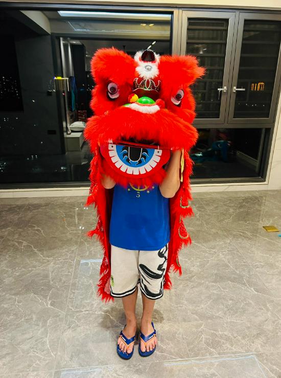 Children s 6/9 Inch Plastic Lion Dance Head Toy - Southern Lion Performance Prop.