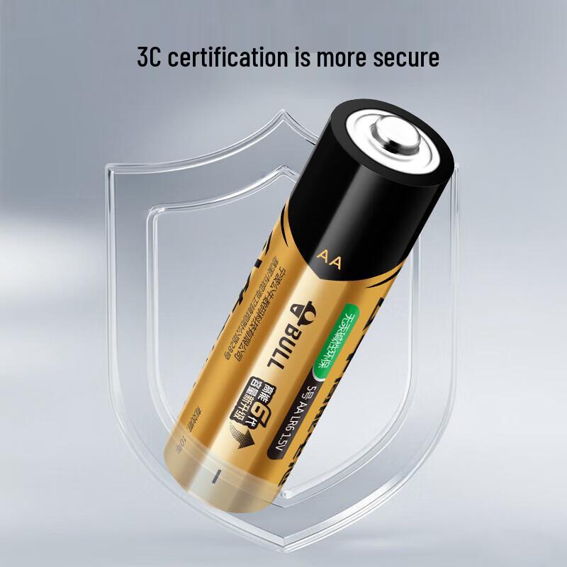 BULL AA Alkaline Batteries CN plug (adapter included)