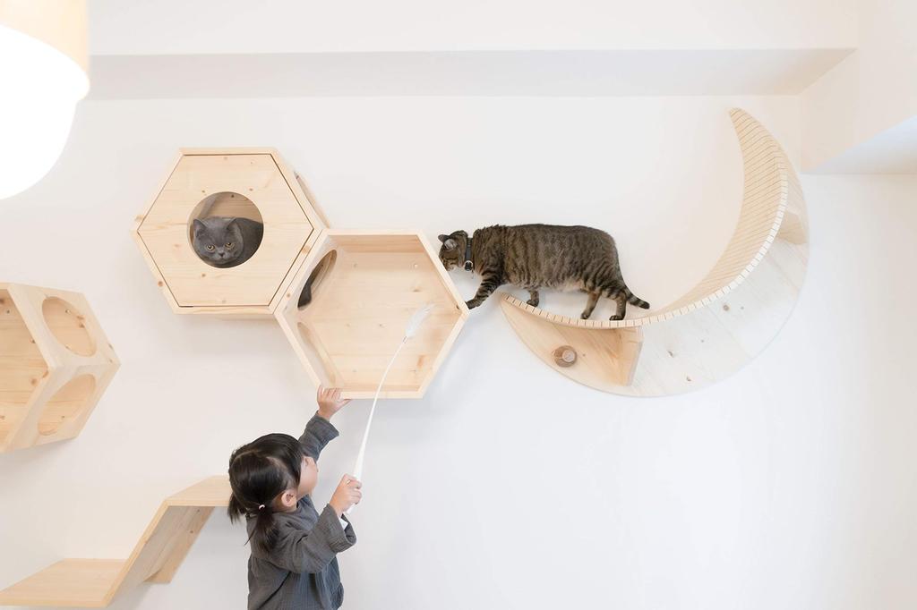 MYZOO LUNA Cat Step
