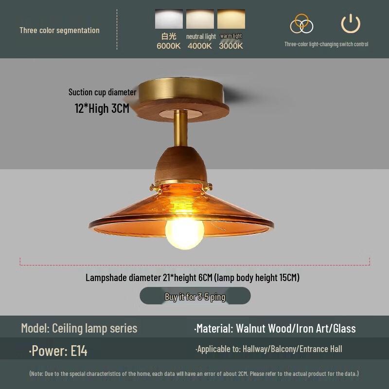 New Chinese Style Corridor Ceiling Lamp