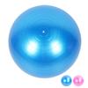 Extra Thick Exercise Ball PVC Anti Burst Inflatable Gym Ball with Pump for Pilates Balance Stability