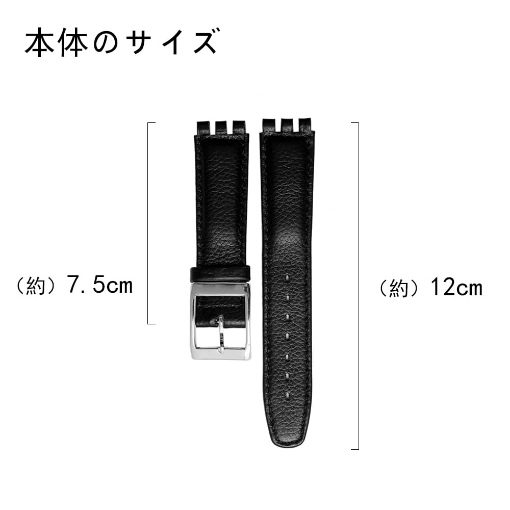 ZHUOLEI Swatch Watch Includes 3 Spring Spring Bar and Box Strap, 17mm/19mm, Bars, Remover,