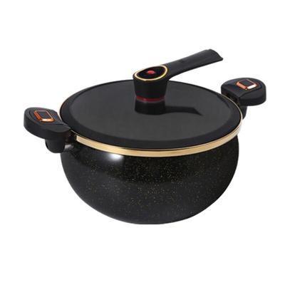 AISHIQI Enamel Multi-Function Micro Pressure Cooker