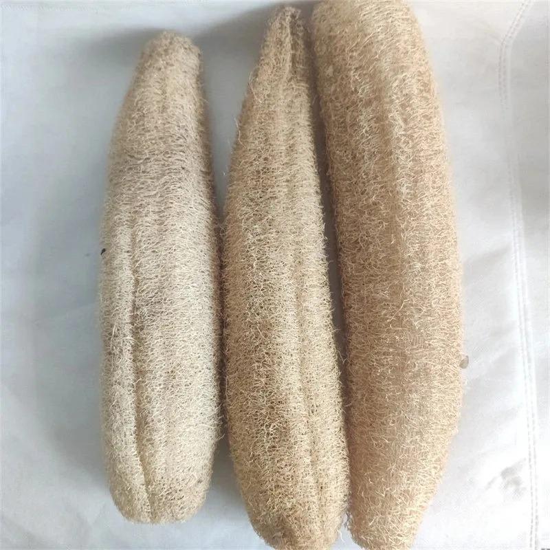 1 Stück Natürlicher Luffaschwamm Mehrzweck-Reinigungswerkzeug für Küche Badezimmer Scheuerschwamm für tägliche Reinigung Waschen Körperpeeling Spa