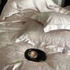 Pure Cotton Bedding Four-piece European Classical Simple Skin-friendly Breathable Bed Sheet Quilt Cover Pillowcase Kit
