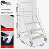 Mobile Warehouse Platform Step Ladder