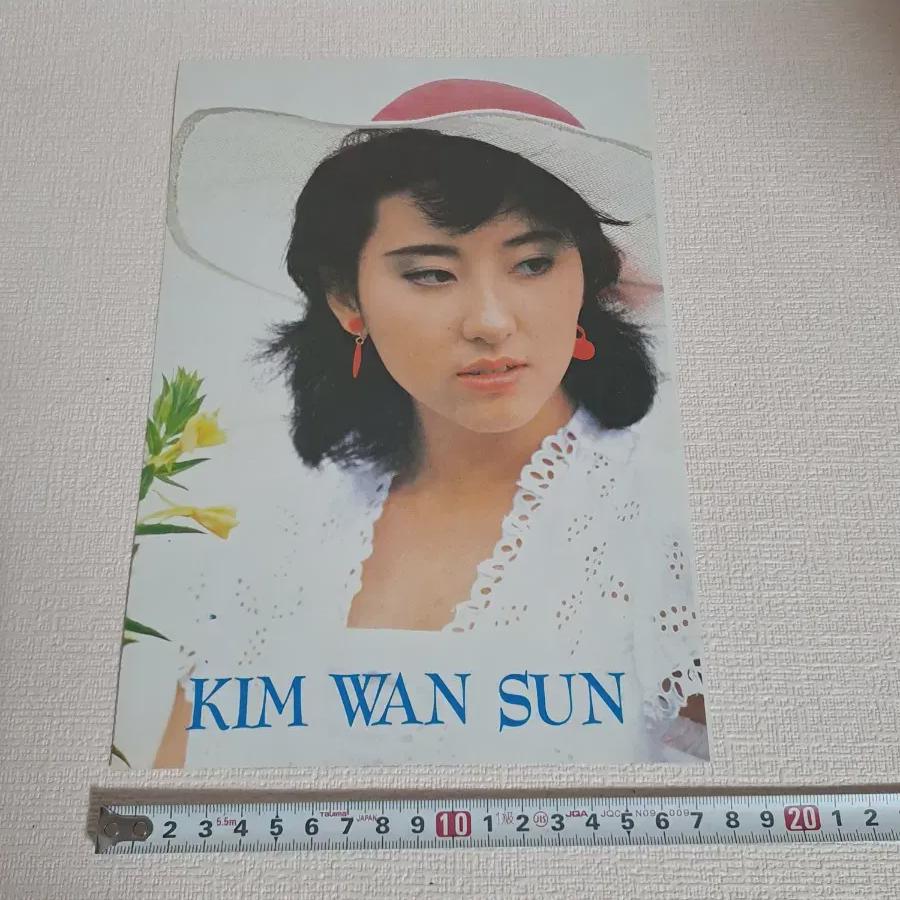

Kim Wan-sun Singer Romance Photocard/retro