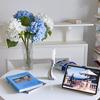 Flower Party Simulation Flowers Faux Large Decorative Plant Decors Arrangements Room Home Background Wall