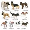 Pvc Dog Model Collection With Realistic Animal Figures For Home Decor And Collectors