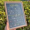 100 Natural Mineral Ornament Specimens - English Version for Geological Home Decor
