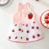 ins wind sweet wind mesh thin summer dog dress cat skirt small dog teddy pet clothes
