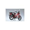 Skynet 1/12 Scale Finished Honda CT125 Hunter Cub Glowing Red