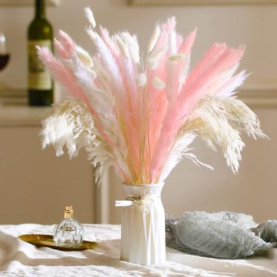 47 Stück Rosa Getrocknetes Pampasgras Pampasgras Home Decor Naturfarbenes Pompasgras Zimmerdekor Blumenarrangement Hochzeit Centerpieces Baby Shower