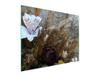 CAM KESME TAHTASI 52x40 ORKİDE