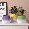 Modern Ceramic Flower Pot with Tray