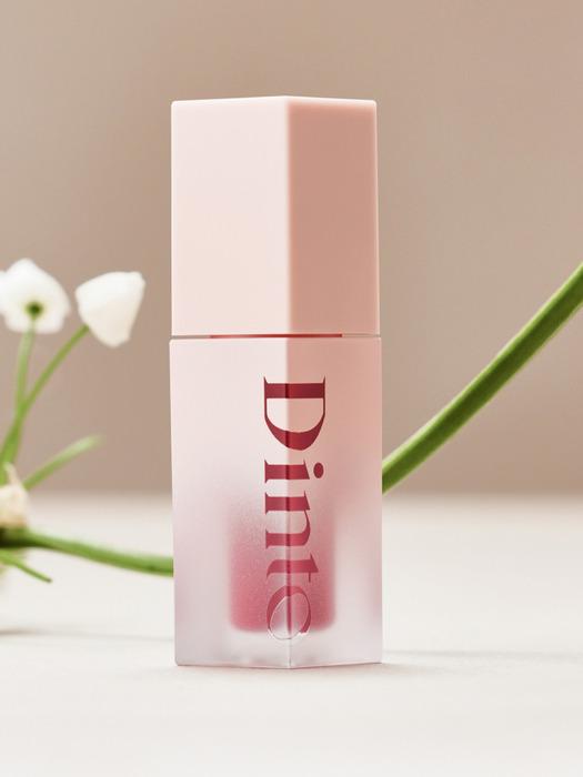 Dinto Blur Jelly Plumping Lip Tint