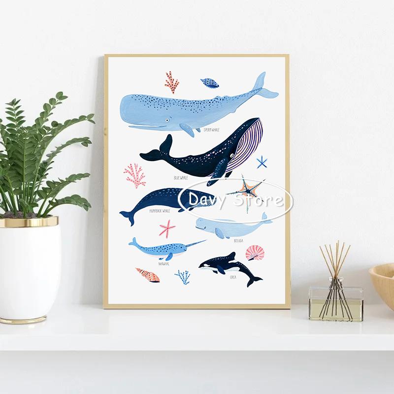 Sea Life Shells Tropical Fish Whale Posters and Prints Canvas Painting Wall Art Picture for Living Room Home Nautical Decor