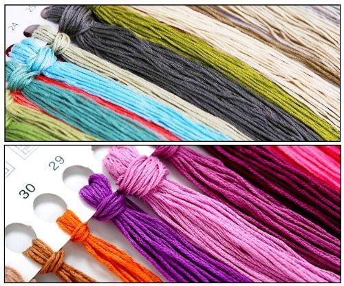 R-STYLE Beautiful Cross Stitch Embroidery Kit with Embroidery Tools (Cherry Blossom Pattern)