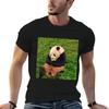 Tian Tian The Giant Panda Tshirt Casual Basic Short Sleeve Tshirt