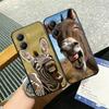 Funny Donkey Animal Soft Phone Case for Xiaomi Poco X5 X6 X7 X8 Pro Max X3 F7 F8 Ultra M8 M7 M6 M5 Redmi 15 15C 14C 13C 12C X4 F