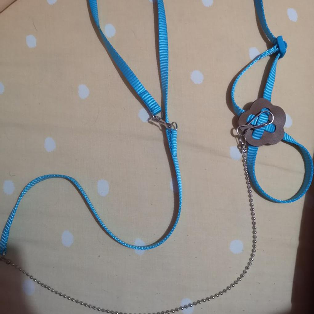 Outdoor Adjustable Bird Vest Leash Bird Training Rope Traction Strap Out Rope