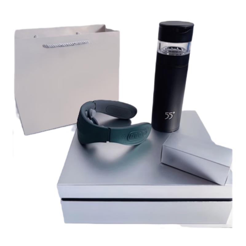 Tea Infuser Bottle Gift Set