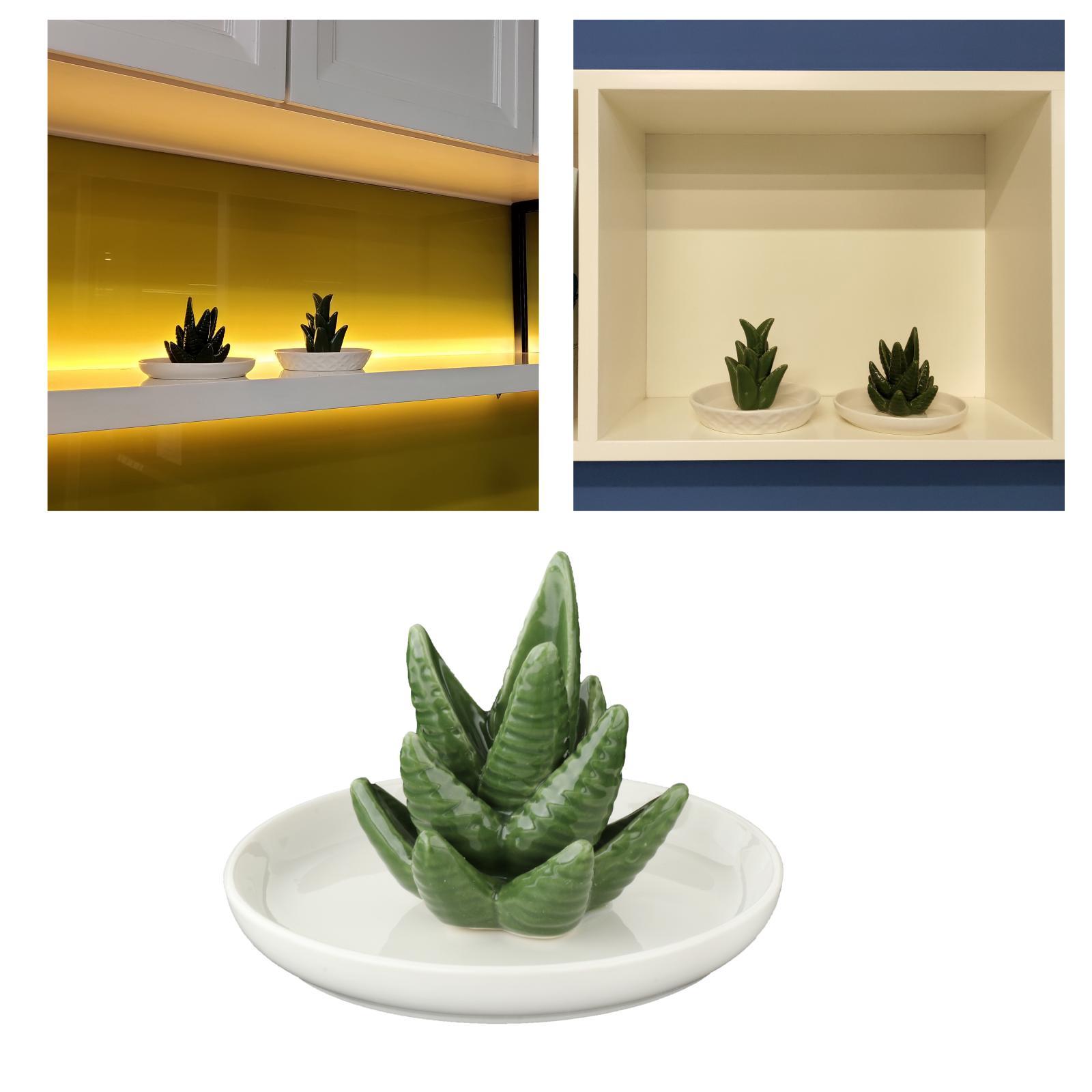 

Ceramic Aloe Jewelry Holder Necklace Organizer Home Decoration Birthday Gift