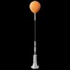 WEZHO Standing Boxing Speed Reaction Ball